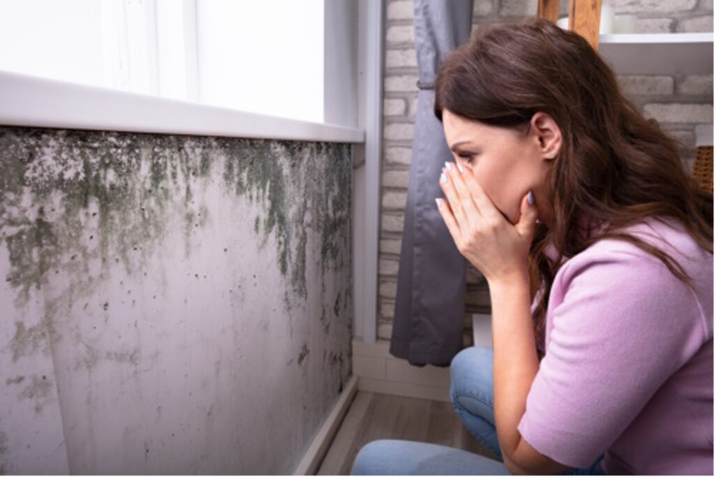 Schimmel op de muur door vocht in huis.